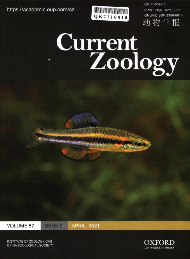 Current Zoology杂志封面